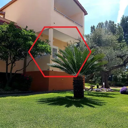 Guest house Antonia Baska Voda